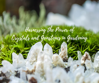 Cultivating Serenity: Harnessing the Power of Crystals and Gemstones in Gardening