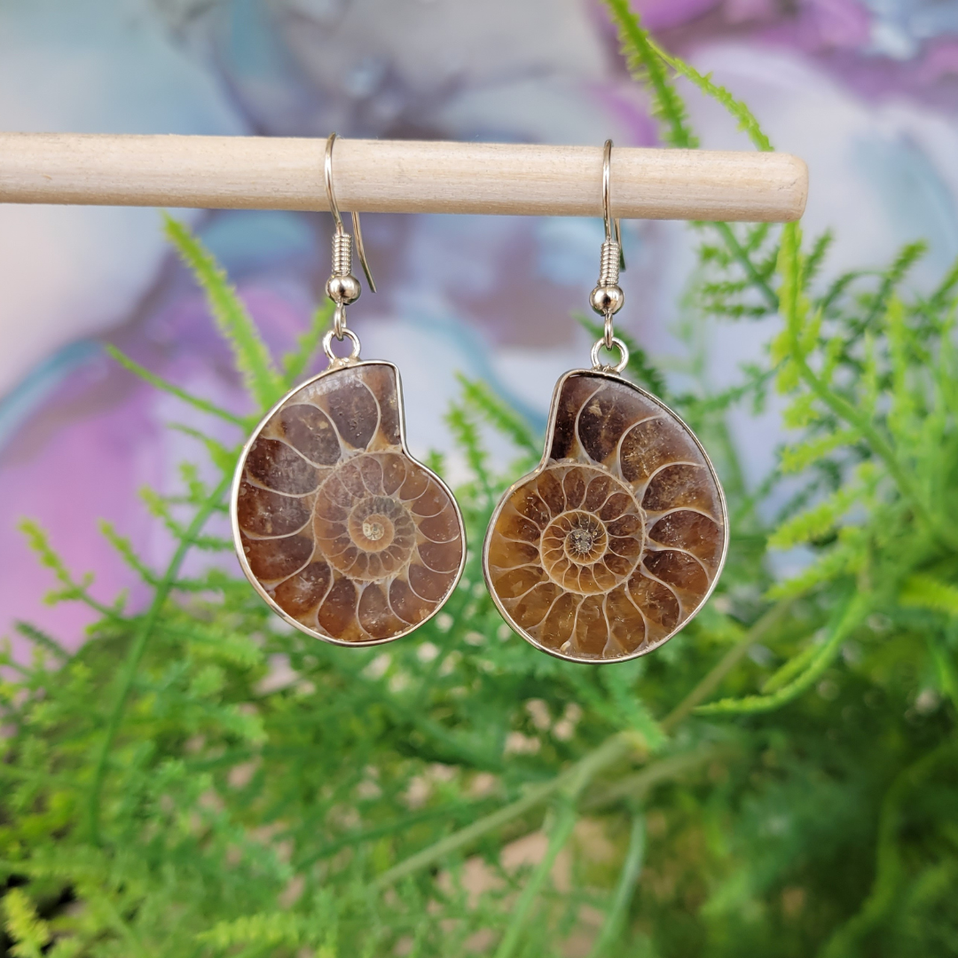 Ammonite Fossil Dangle sterling silver Bezel Earrings