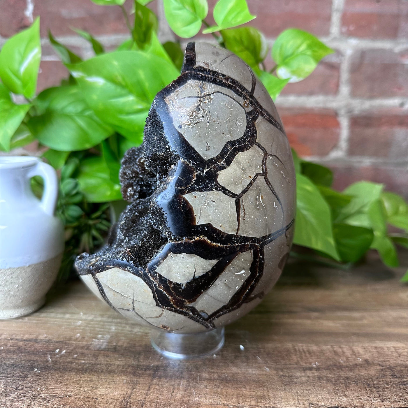 Septarian Dragon Egg with Geode Center 2.4kg