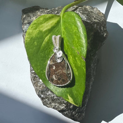 Turritella Agate Silver Plated Wire Wrapped Necklace - Artisan Made