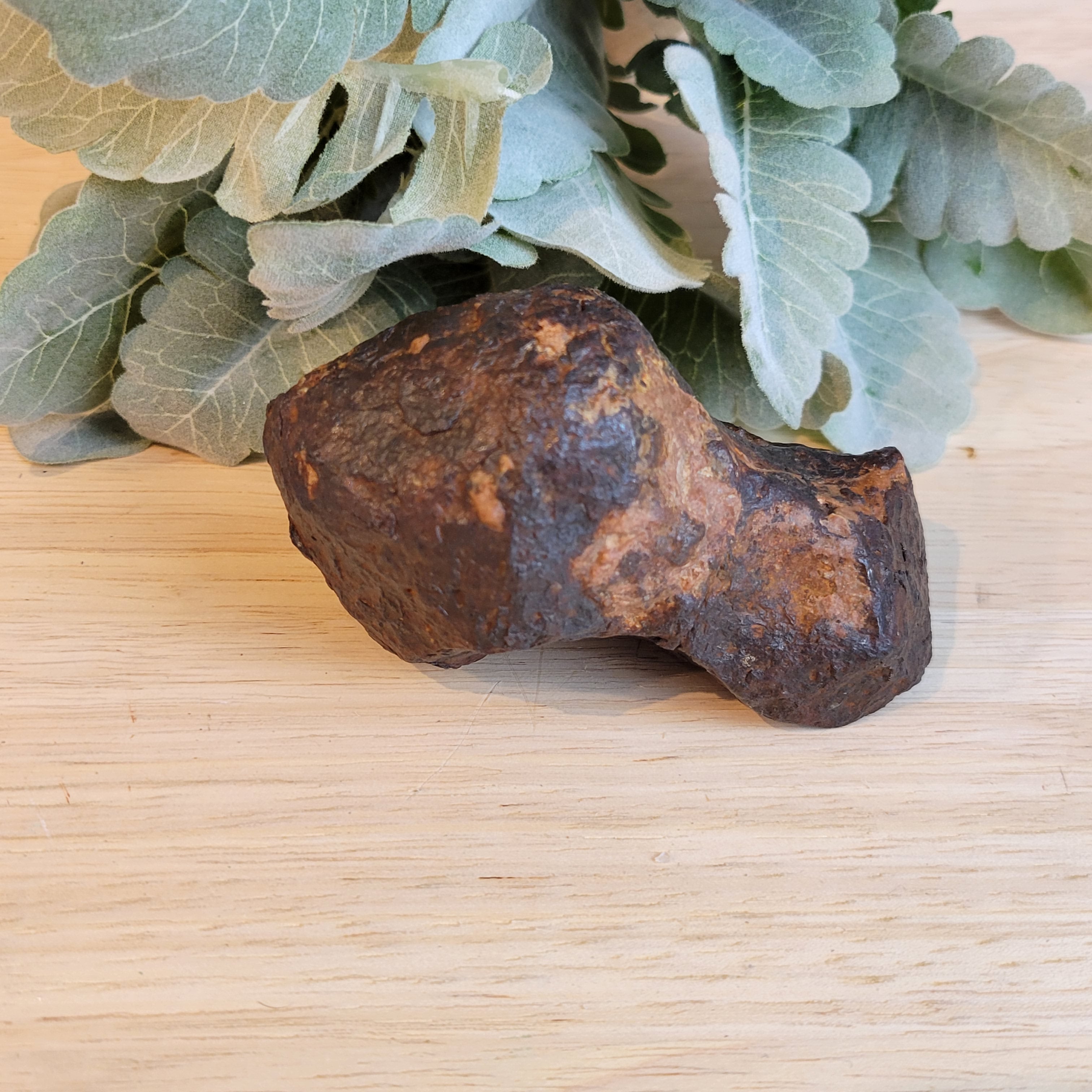 Odessa Texas Meteorite 3.5