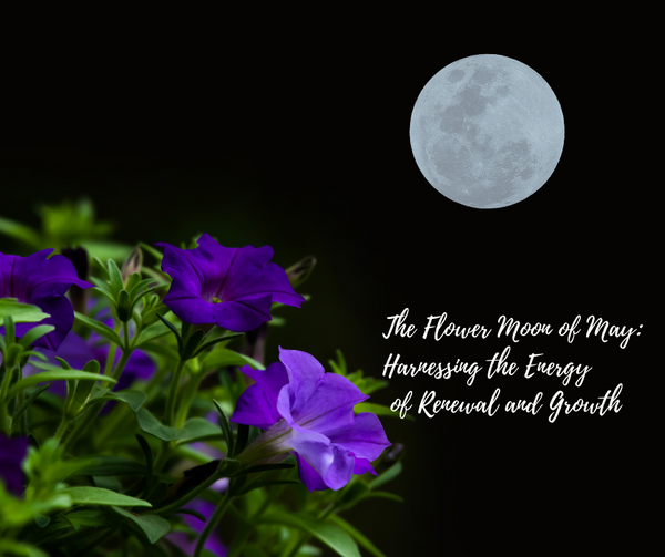 The Flower Moon of May: Harnessing the Energy of Renewal and Growth