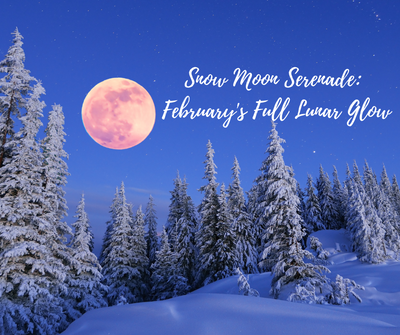 Snow Moon Serenade: Embracing February's Full Lunar Glow