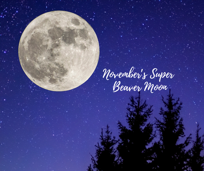 November's Super Beaver Moon