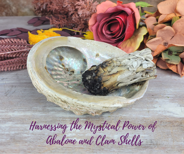 Harnessing the Mystical Power of Abalone and Clam Shells