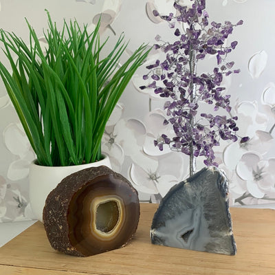 Agate Cut Base Geodes 4 inch to 8 inch