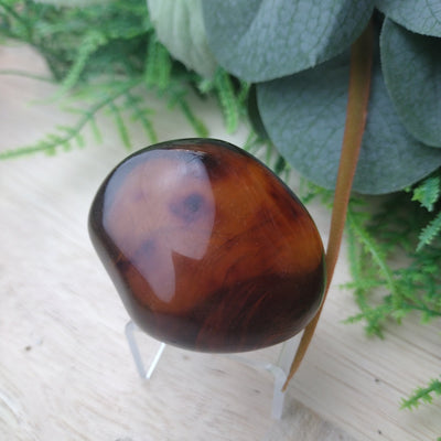 Amber Natural Specimens