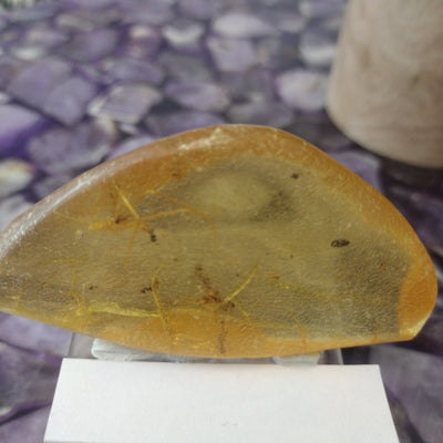 Amber with Insect Inclusion 3"