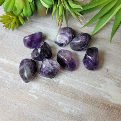 Amethyst (Brazil) Tumbled- 1" *Sold Individually*