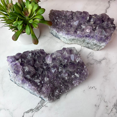 Amethyst Cluster Statement 8"