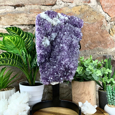 Amethyst Cluster on Stand Statement Piece 17" - 8.15kg