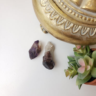 Amethyst Natural Point Specimens from Colorado .5 to 3"