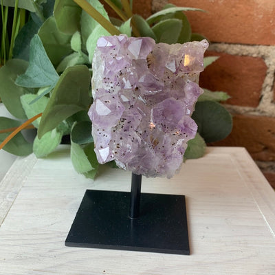 Amethyst Specimen on Iron Stand 5.75 to 7"