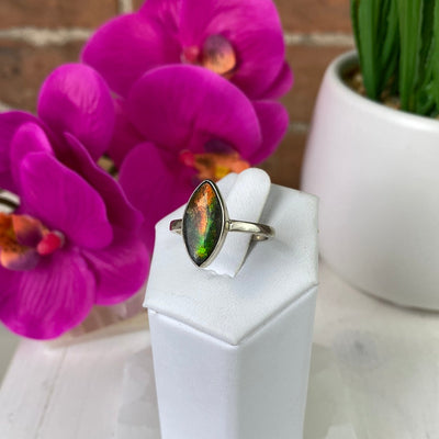 Ammolite Polished Ring in sterling silver Setting in Marquise Shape - Sized