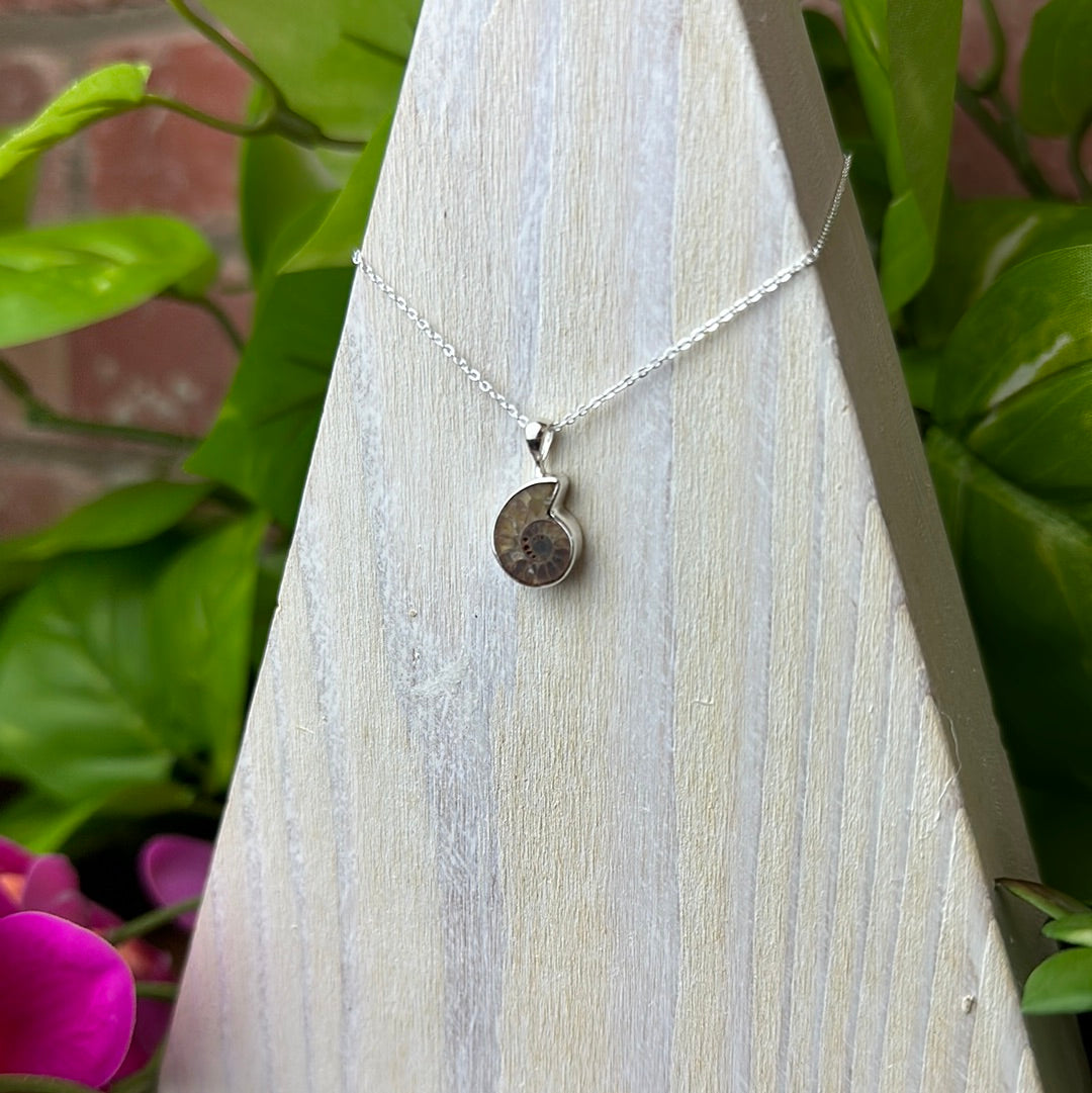 Ammonite Mini Polished Pendant Necklace with 16-18" Adjustable sterling silver Chain