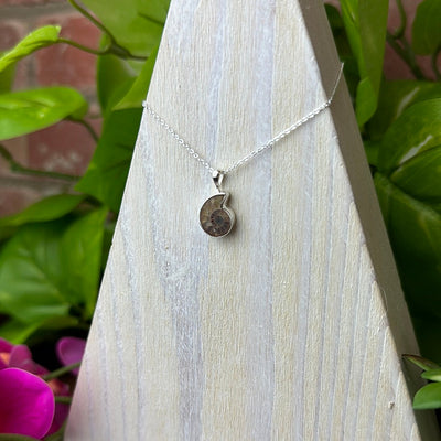 Ammonite Mini Polished Pendant Necklace with 16-18" Adjustable sterling silver Chain
