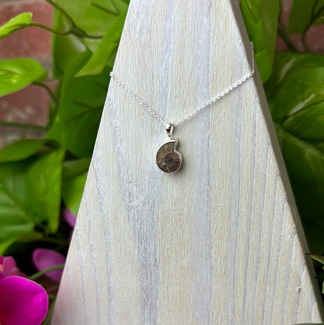 Ammonite Mini Polished Pendant Necklace with 16-18" Adjustable Sterling Silver Chain