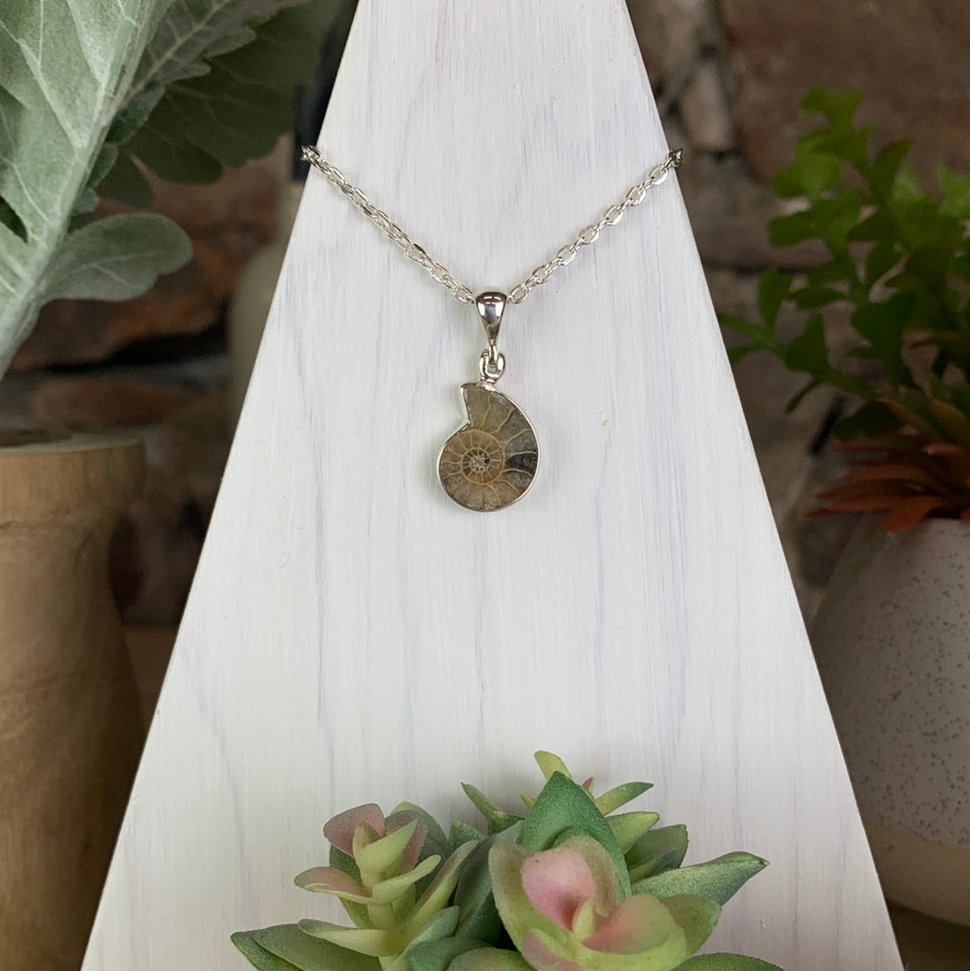 Ammonite sterling silver Bezel Pendant