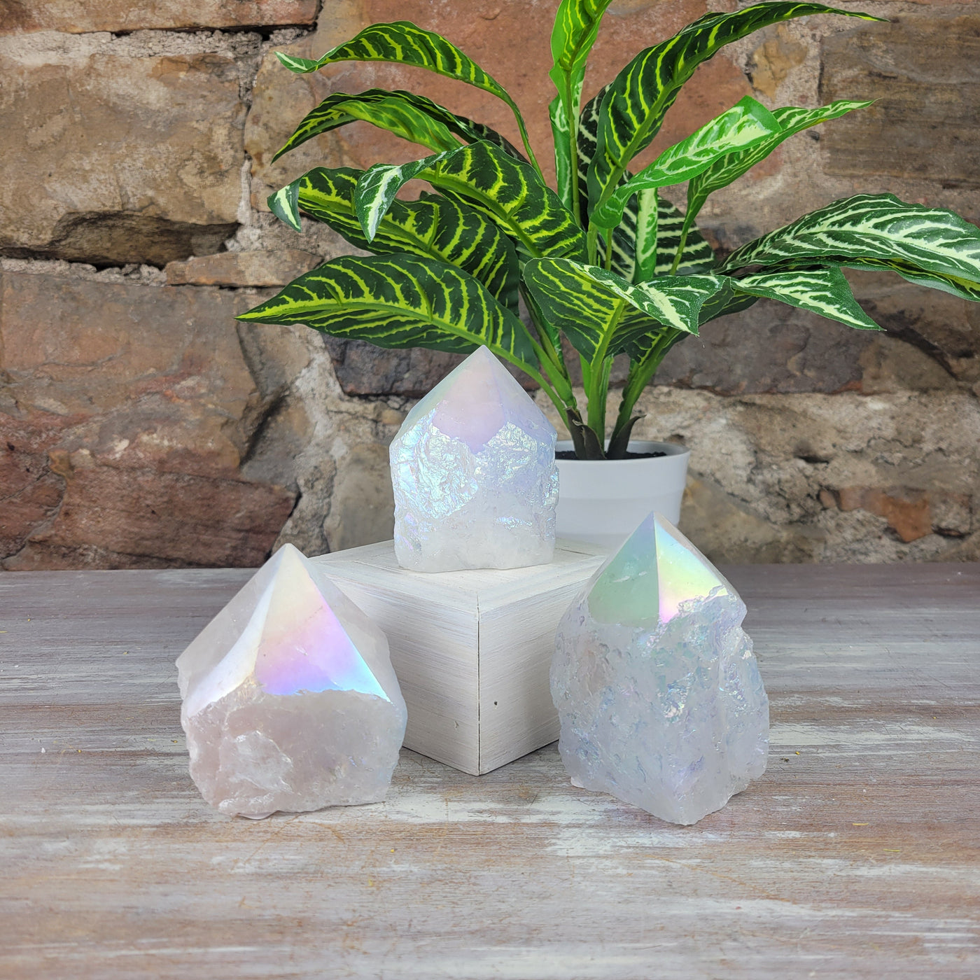 Angel Aura Quartz Polished Tip 2"-5"