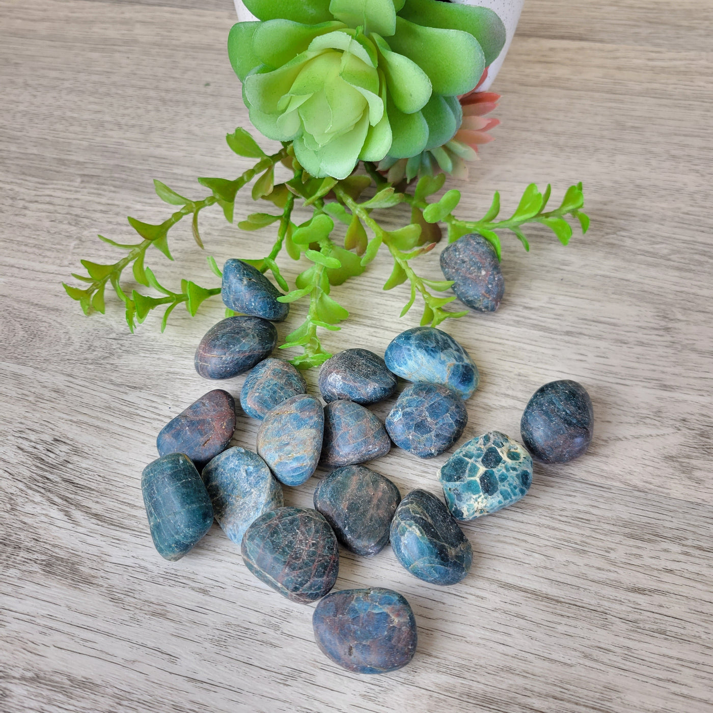 Apatite Tumbled 1" *Sold Individually*