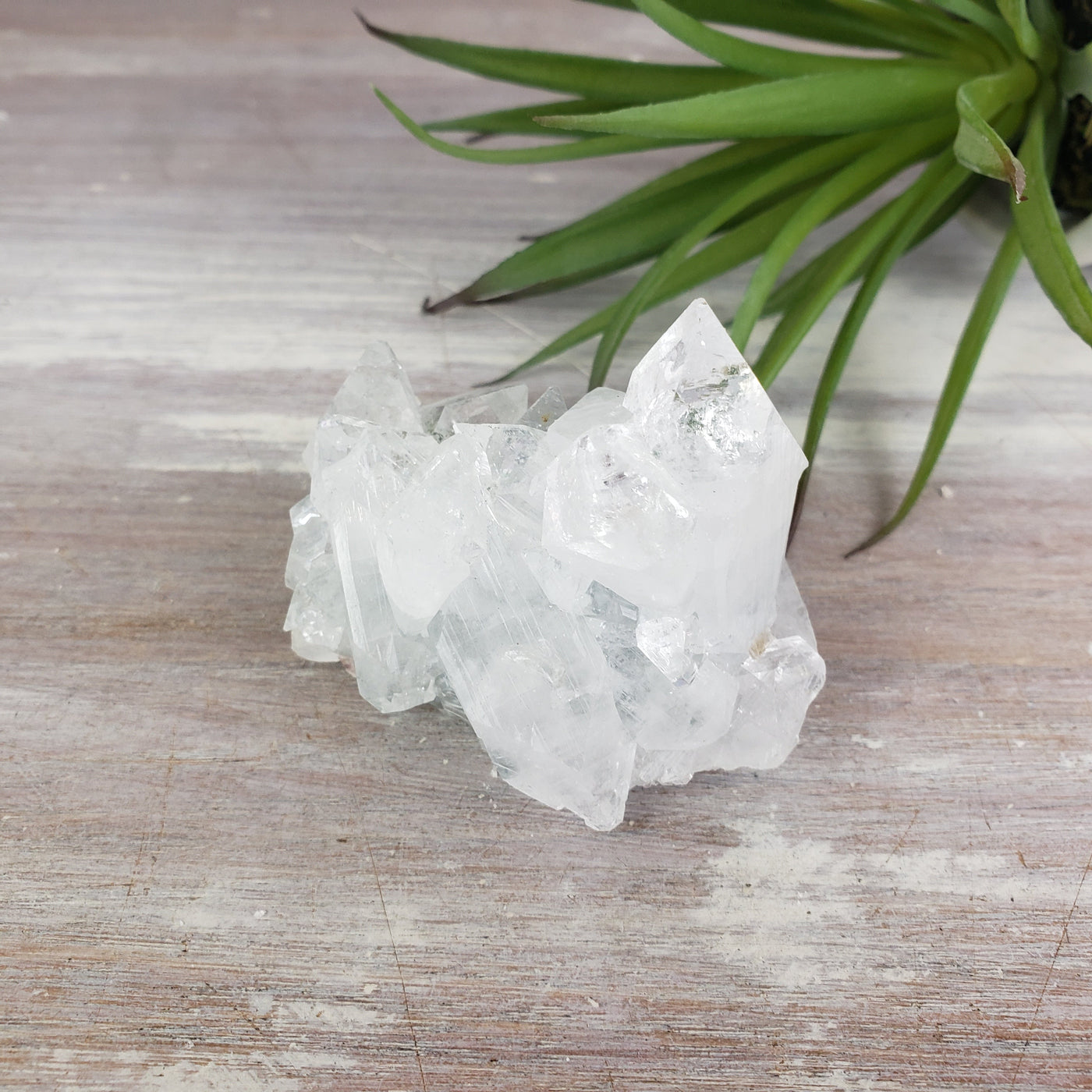 Apophyllite/Stilbite Cluster 1-3 Inch