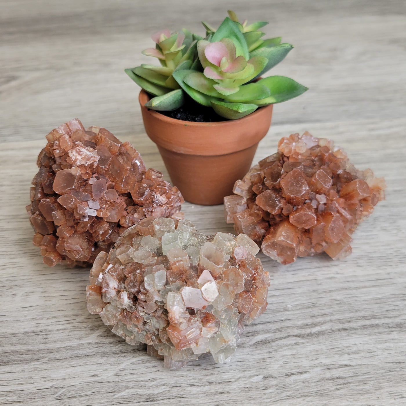 Aragonite Star Cluster 3-5.9"-Morocco