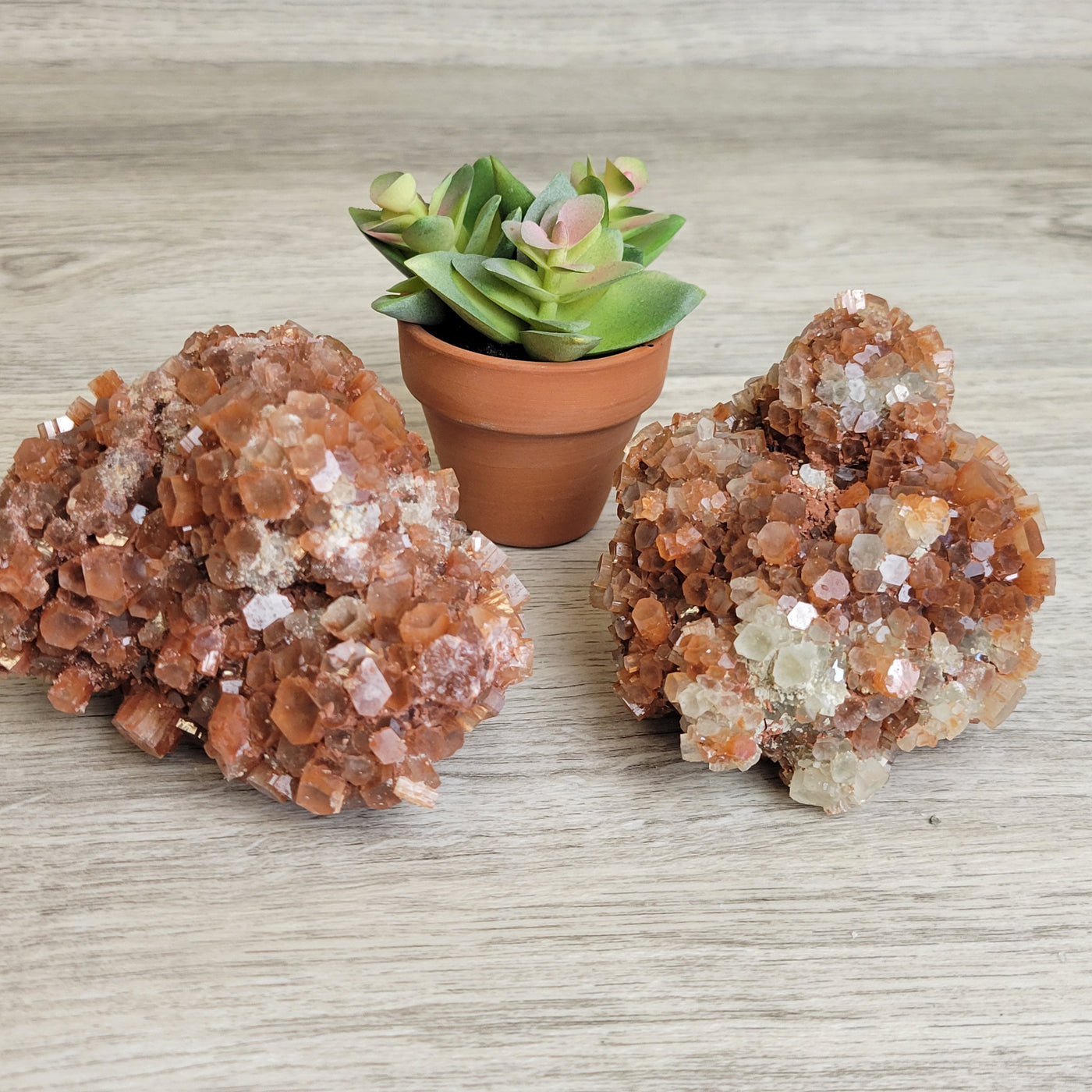 Aragonite Star Clusters 6"and larger-Morocco