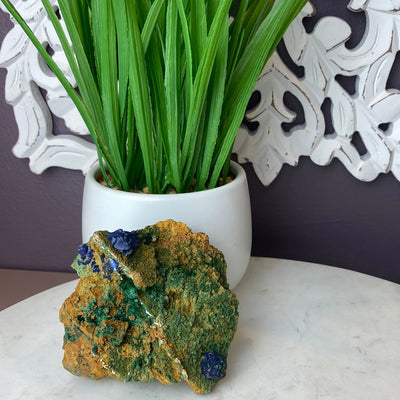 Azurite Malachite Specimen on Matrix-Variants