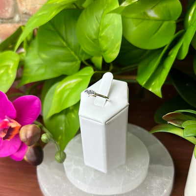 Bat Black Tourmaline Sized Ring set in sterling silver
