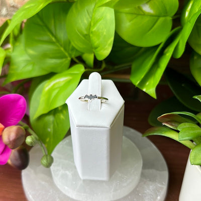 Bat Black Tourmaline Sized Ring set in sterling silver