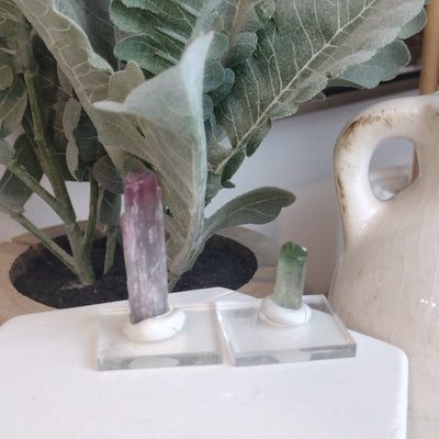 Bi-Color Tourmaline in Quartz Rod-Variants