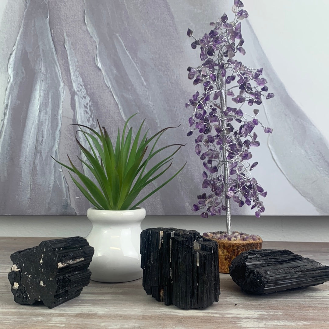 Black Tourmaline Specimens- 2" to 4"