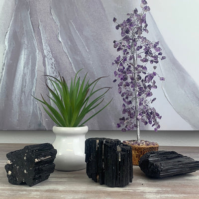 Black Tourmaline Specimens- 2" to 4"