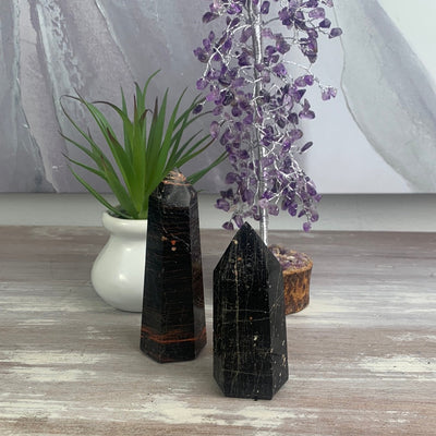 Black Tourmaline w/ Iron Polished Pillars-Variants