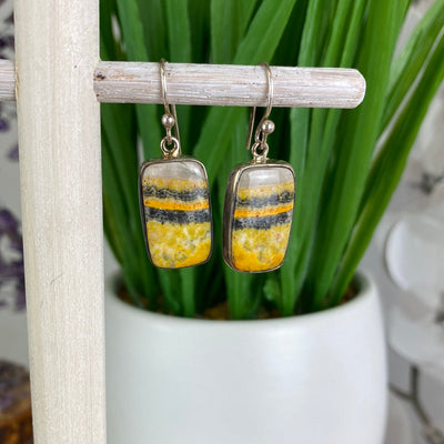 Bumblebee Jasper Freeform sterling silver Earrings- Indonesia