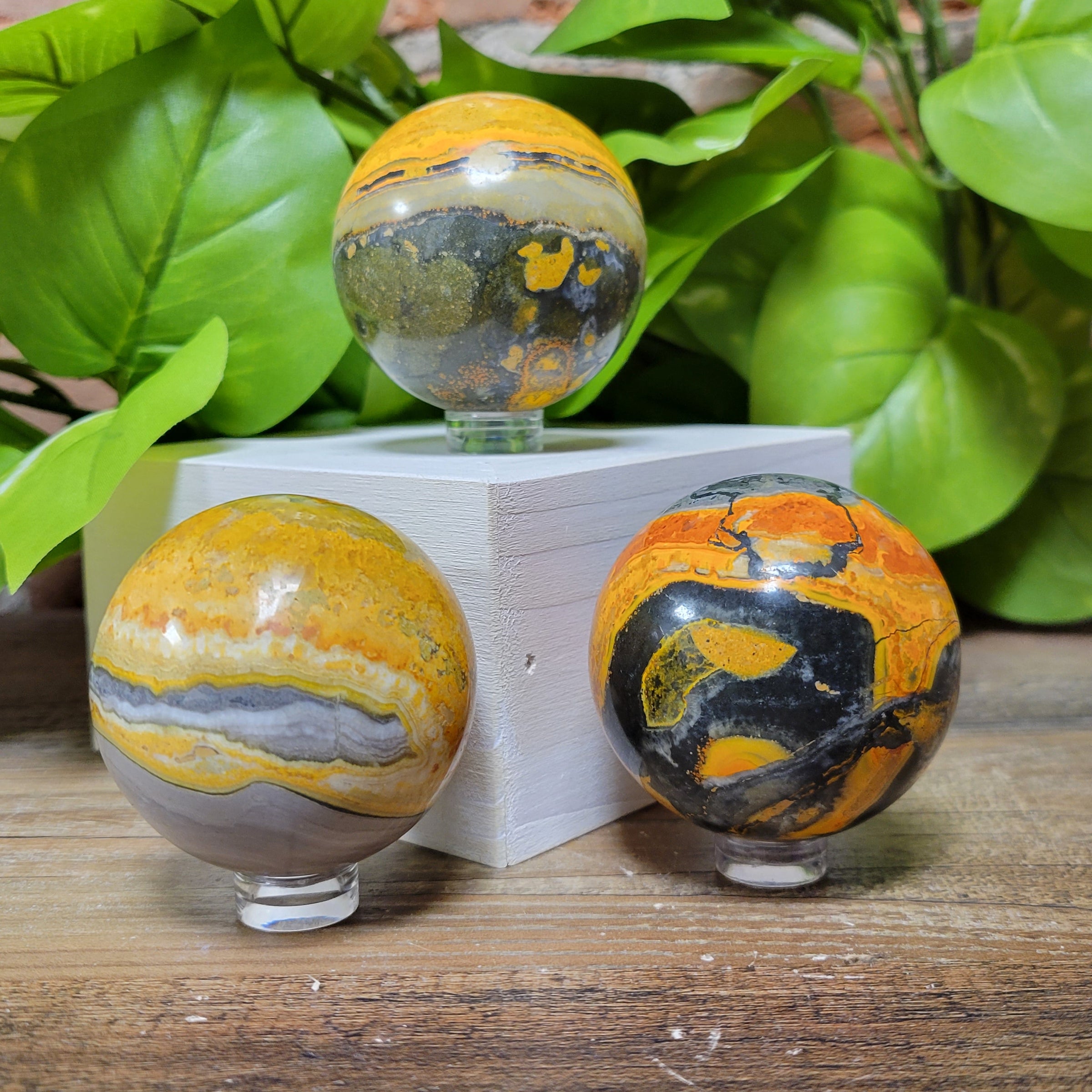 Bumblebee Jasper Sphere 50mm