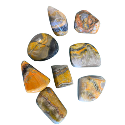 Bumblebee Jasper Tumbled ~1 Inch
