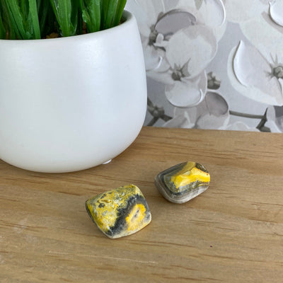 Bumblebee Jasper Tumbled ~1 Inch
