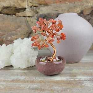 Carnelian Gemstone Tree in Ceramic Bowl