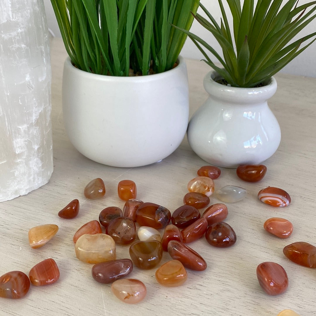 Carnelian Tumbled .5" - 1" *Sold Individually*