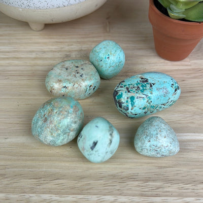 Chrysocolla Tumbled Loose Stones 1" *Sold Individually*