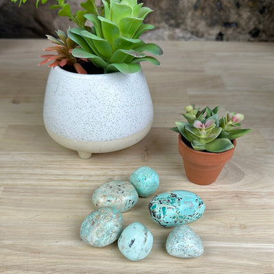 Chrysocolla Tumbled Loose Stones 1" *Sold Individually*