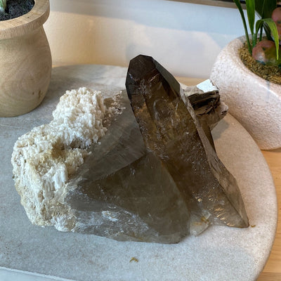 Citrine with Quartz Overgrowth Specimen (9” x 7”)