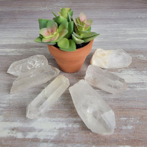 Clear Quartz Crystal Point 0.5-3" *Sold Individually*