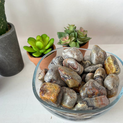 Crazy Lace Agate Stone Tumbled 1" *Sold Individually*