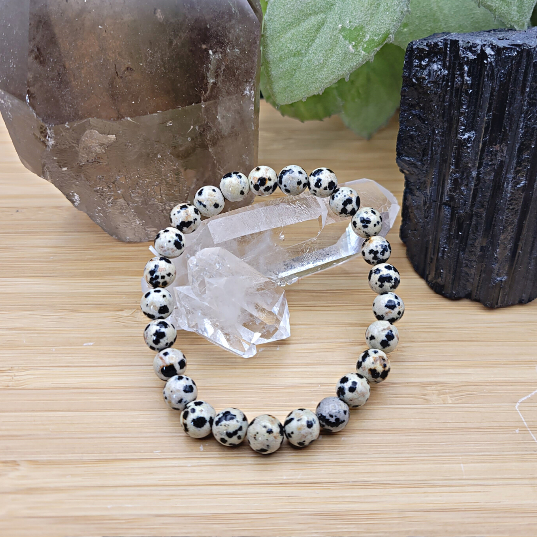 Dalmation Jasper 8mm Stretch Bracelet
