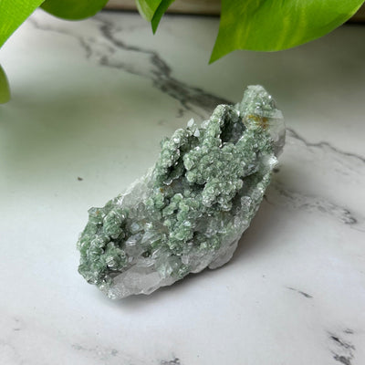 Fuschite w/ Quartz