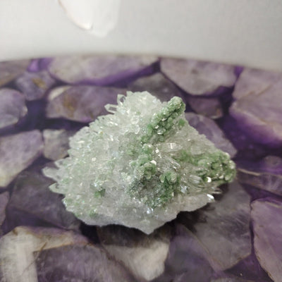 Fuschite w/ Quartz