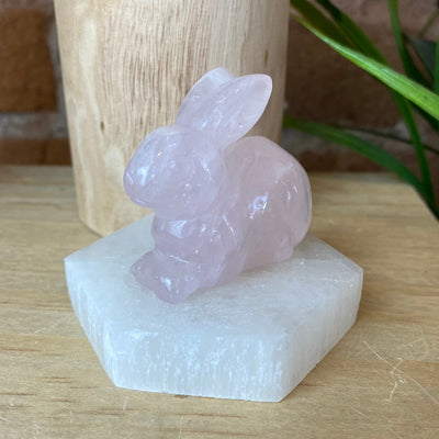 Gemstone Carved Animal Figurines (Alligator, Dolphin, Elephant, Frog, Rabbit, Turtle)