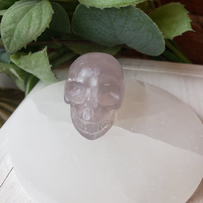 Gemstone Carved Skulls 1" - Various Gemstones